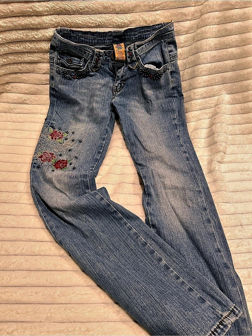CROSS JEANS Embroidered Floral Skinny Jeans in Blue